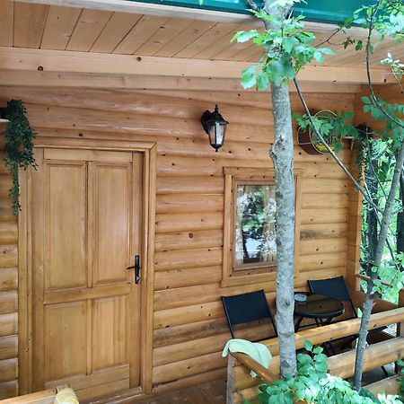 Still Cabin Cetinje Extérieur photo
