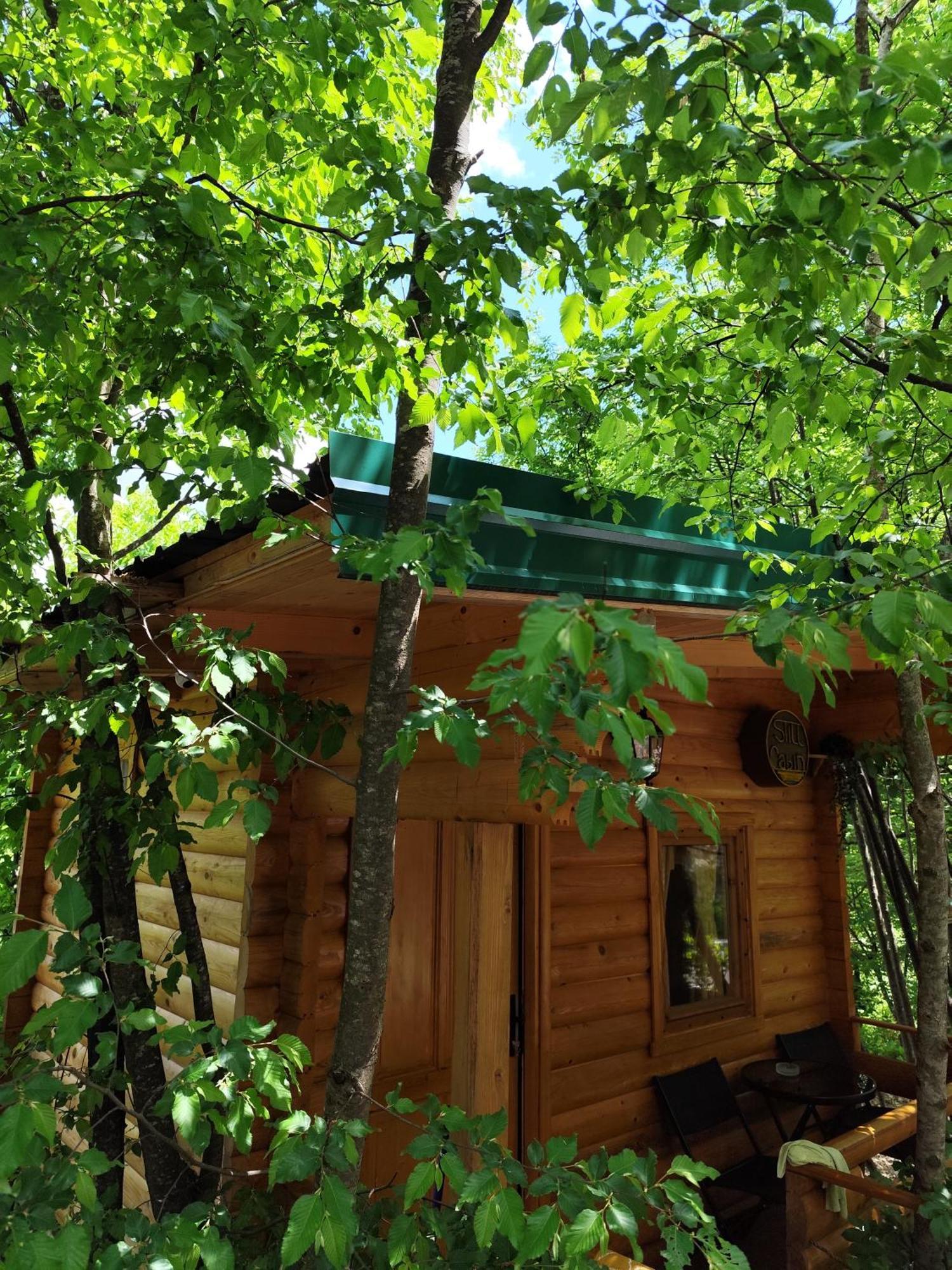 Still Cabin Cetinje Extérieur photo